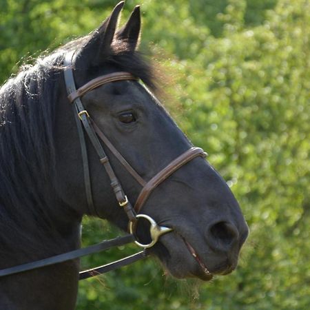 Na Konske Farme Lägenhet Malecov Exteriör bild